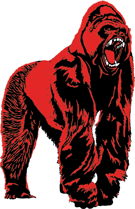 Red Gorilla Silverback
